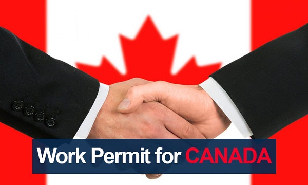 چطور بدون مدرک زبان اقامت کاری کانادا را دریافت کنید؟